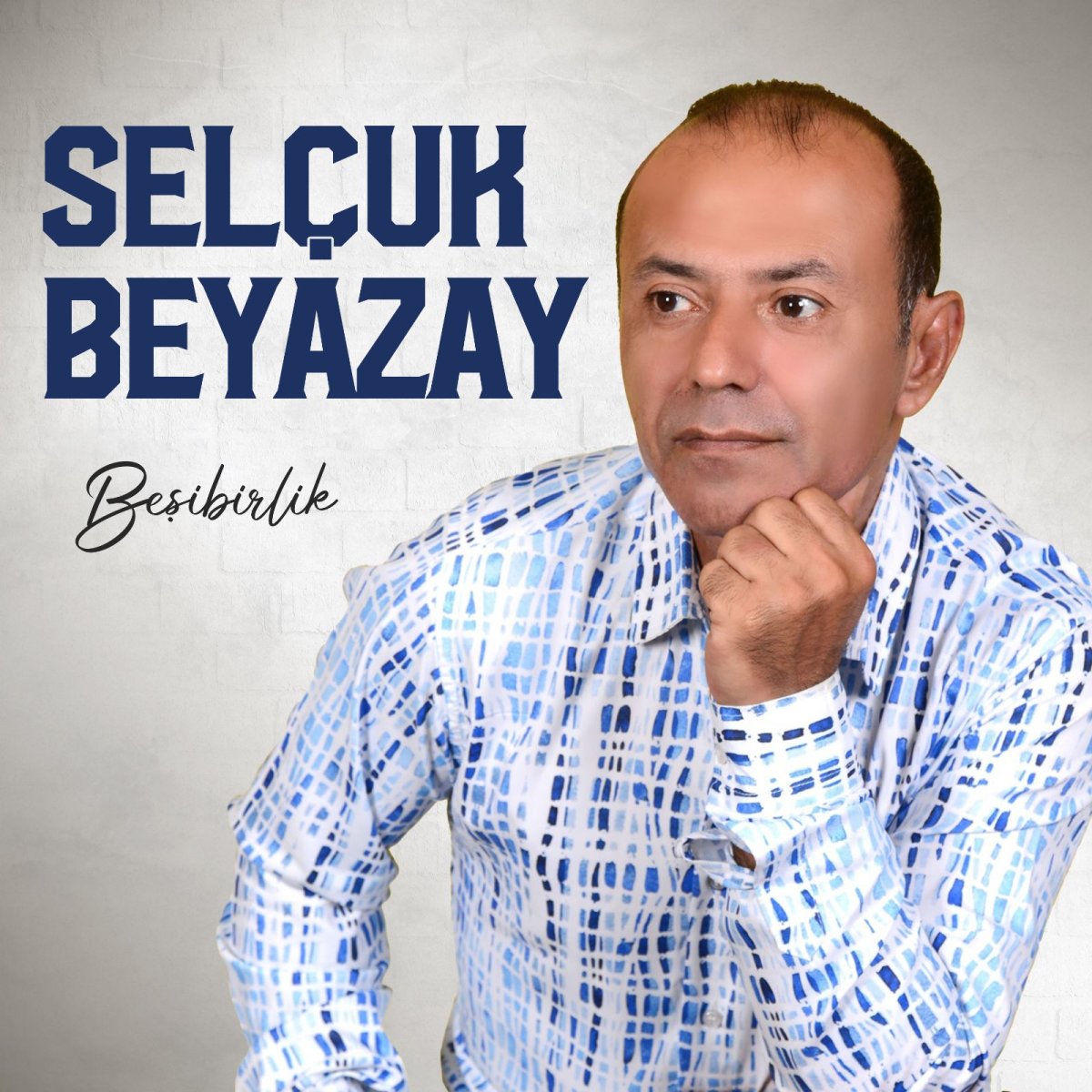 Beşibirlik